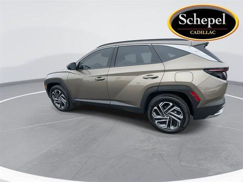 Used 2025 Hyundai Tucson Limited image 5