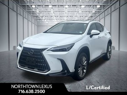 Certified 2026 Lexus NX 350h AWD w/ Cold Area Package