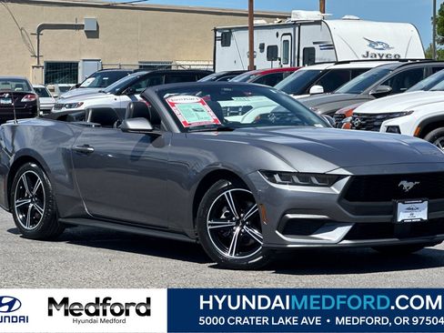 Used 2024 Ford Mustang Premium RWD image 1