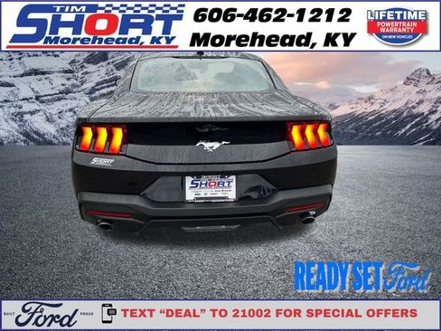 New 2026 Ford Mustang EcoBoost image 4