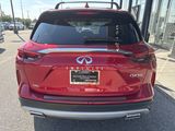 Used 2024 INFINITI QX50 Sensory w/ Accent Package image 3