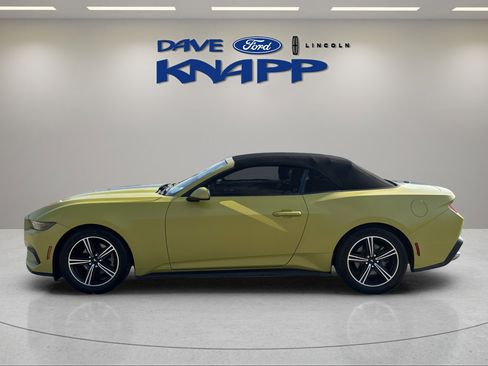 Used 2025 Ford Mustang Premium image 5
