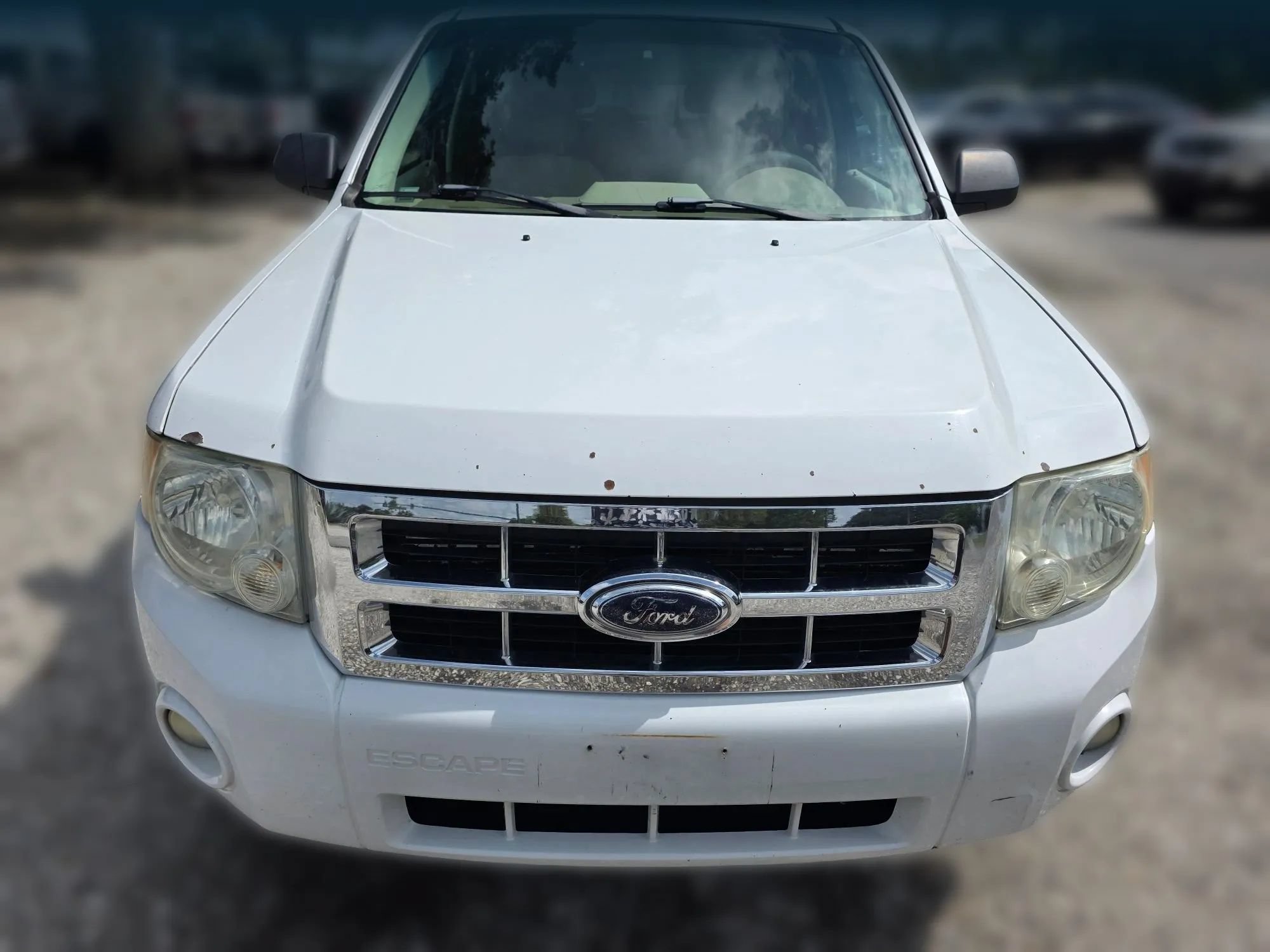 Used 2008 Ford Escape XLT FWD image 2