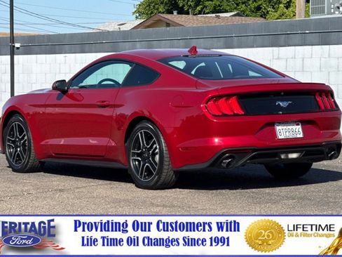 Used 2020 Ford Mustang Coupe w/ Equipment Group 101A RWD image 6
