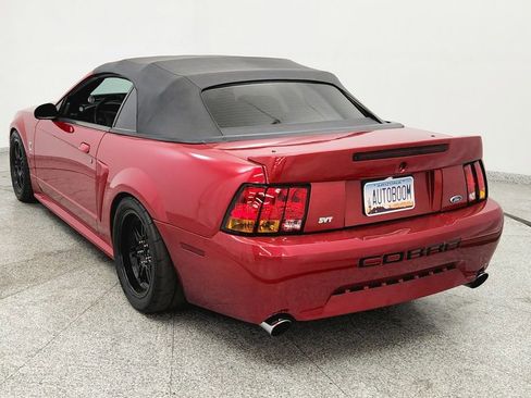 Used 2001 Ford Mustang Cobra image 4