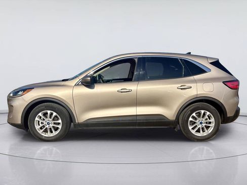 Used 2020 Ford Escape SE FWD image 8