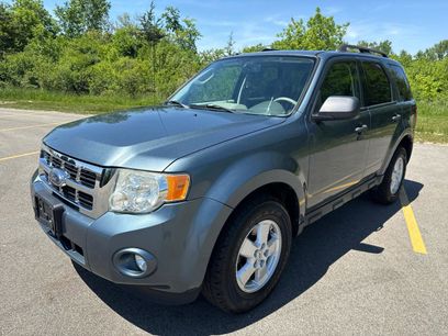 Used 2010 Ford Escape XLT