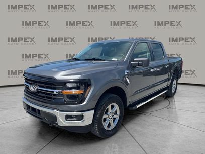 Used 2025 Ford F150 XLT w/ Equipment Group 301A Standard