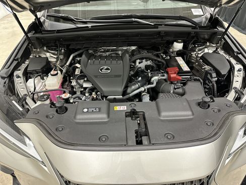 Used 2024 Lexus NX 350 AWD w/ Cold Area Package image 34
