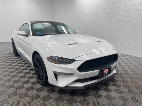Used 2019 Ford Mustang Coupe w/ Equipment Group 101A image 1