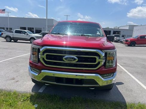 Used 2021 Ford F150 XLT w/ Equipment Group 302A High AWD/4WD image 5