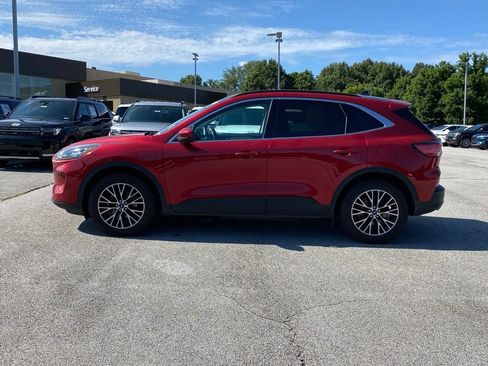 Used 2021 Ford Escape Titanium w/ Titanium Premium Package FWD image 4