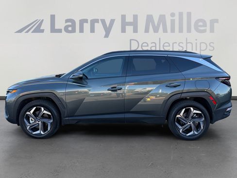 Used 2024 Hyundai Tucson Limited image 2