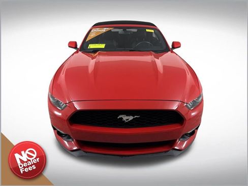 Used 2017 Ford Mustang Premium image 9