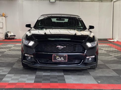 Used 2015 Ford Mustang Premium w/ Equipment Group 201A RWD image 2