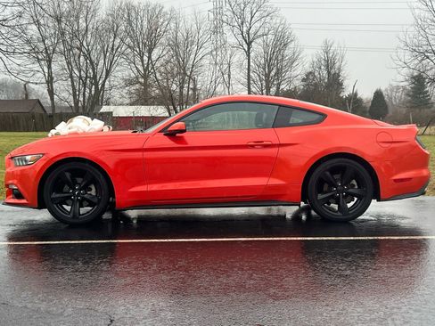 Used 2015 Ford Mustang Premium image 8