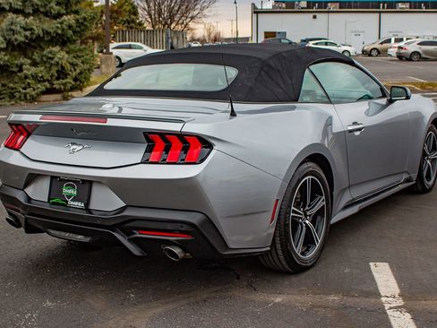 Used 2024 Ford Mustang Premium image 8