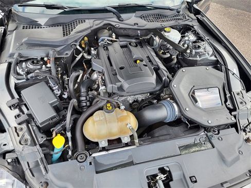 Used 2019 Ford Mustang Premium w/ Equipment Group 201A image 22