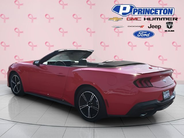 Used 2025 Ford Mustang Premium RWD image 6