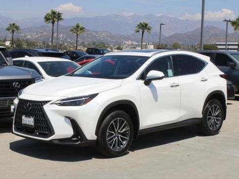 Certified 2025 Lexus NX 350h AWD w/ Cold Area Package image 3