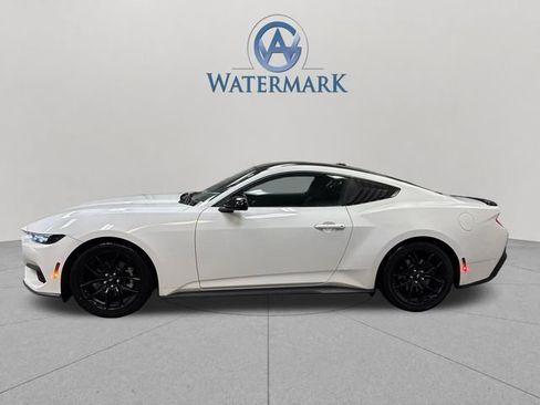 Used 2025 Ford Mustang Coupe w/ Mustang Nite Pony Package RWD image 2