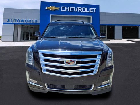 Used 2019 Cadillac Escalade Premium Luxury image 2