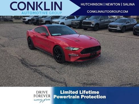 Used 2019 Ford Mustang Coupe w/ Equipment Group 101A RWD image 1