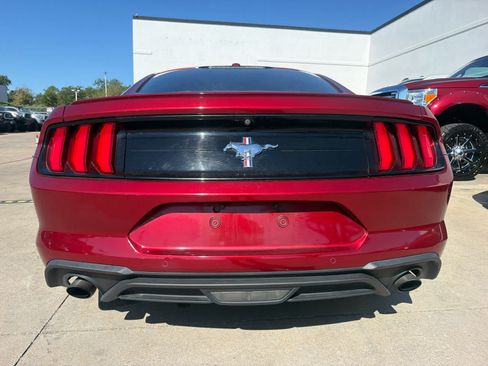 Used 2019 Ford Mustang Premium w/ Equipment Group 201A RWD image 3