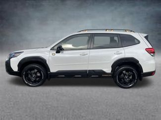 Certified 2023 Subaru Forester Wilderness video 2
