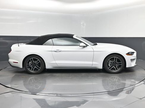 Used 2023 Ford Mustang Premium RWD image 2