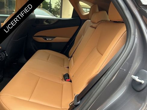 Certified 2025 Lexus NX 350 AWD w/ Cold Area Package image 14