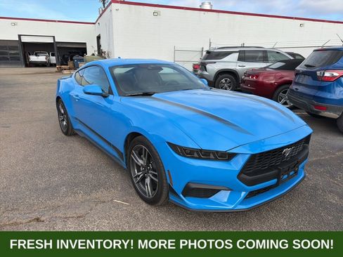 Used 2025 Ford Mustang Premium image 1