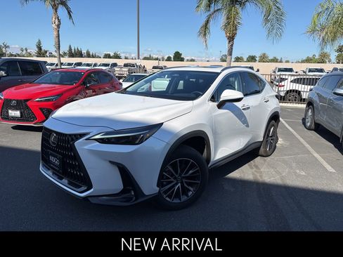 Certified 2024 Lexus NX 350h AWD image 1