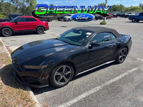 Used 2025 Ford Mustang Premium image 1