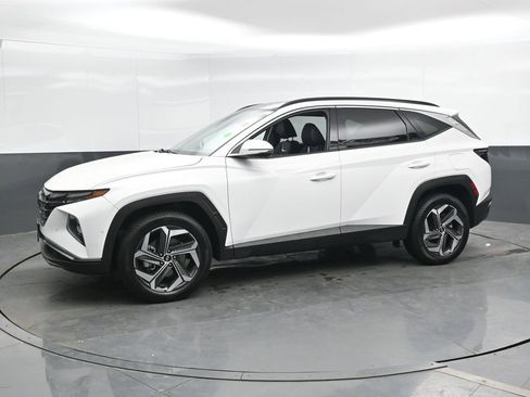 Used 2024 Hyundai Tucson Limited AWD/4WD image 7