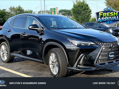 Used 2025 Lexus NX 350 AWD w/ Accessory Package (2T)