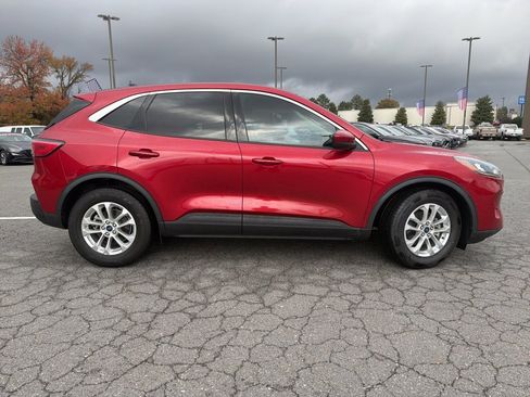 Used 2020 Ford Escape SE image 2