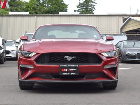 Used 2019 Ford Mustang Coupe w/ Equipment Group 101A image 7