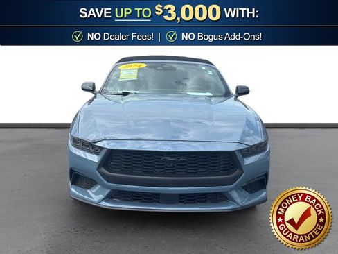 Used 2024 Ford Mustang Premium w/ Mustang Nite Pony Package RWD image 11