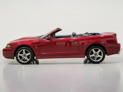 Used 2004 Ford Mustang Cobra RWD image 5