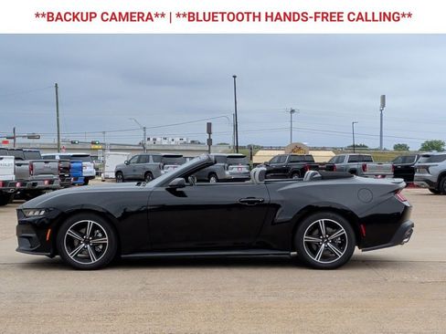 Used 2024 Ford Mustang Premium RWD image 5