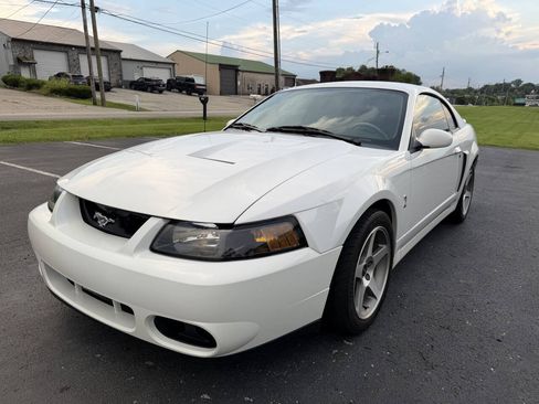 Used 2003 Ford Mustang Cobra RWD image 14