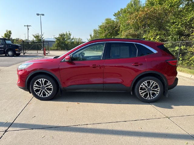 Used 2020 Ford Escape SEL AWD/4WD image 2