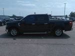 Used 2025 Ford F150 XLT w/ Equipment Group 301A Standard RWD image 4
