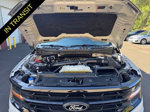 Used 2024 Ford F150 XLT w/ Equipment Group 302A MID AWD/4WD image 19