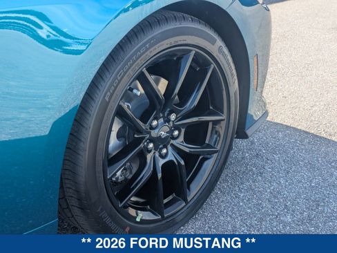 New 2026 Ford Mustang Premium w/ Mustang Nite Pony Package RWD image 14