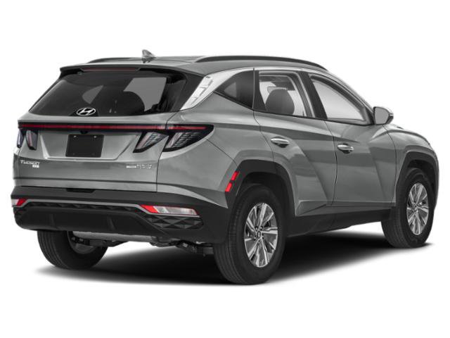 Used 2023 Hyundai Tucson Blue AWD/4WD image 2