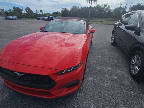 Used 2024 Ford Mustang Premium RWD image 3