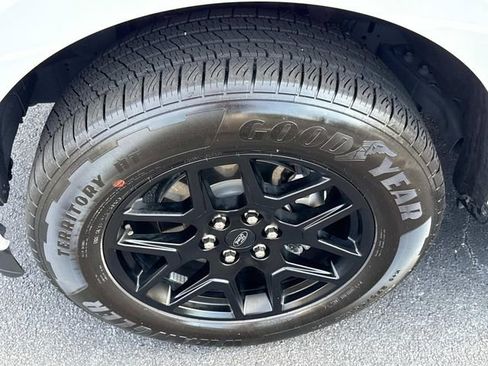Used 2024 Ford F150 STX w/ STX Black Appearance Package RWD image 10