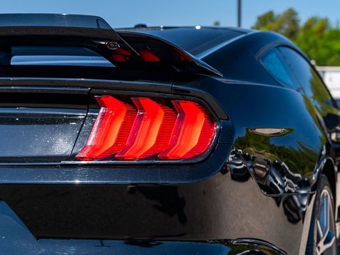 Used 2017 Ford Mustang GT Premium w/ Equipment Group 401A RWD image 16